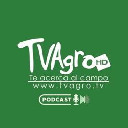 Ganaderia Hereford y Simental en la Hacienda el Tesoro Colombia- TvAgro por Juan Gonzalo Angel