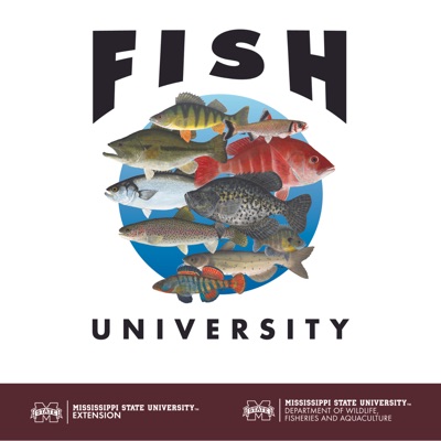 Fish University Fish University