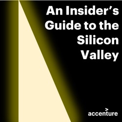 An Insider's Guide to the Silicon Valley