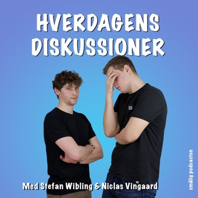 Hverdagens Diskussioner:Stefan Wibling & Niclas Vingaard
