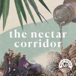 Trailer - The Nectar Corridor