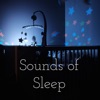 Sounds of Sleep