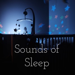 Sounds of Sleep