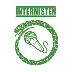 Internisten