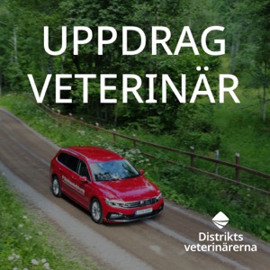 Uppdrag veterinär