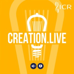 Beauty for Beauty's Sake! | Creation.Live Podcast: Episode 17