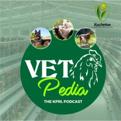 Welcome to Vetpedia