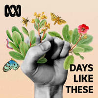 Days Like These - True Stories podcast