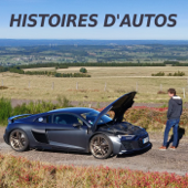 Histoires d'autos - Vincent Desmonts