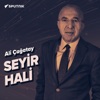 SEYİR HALİ