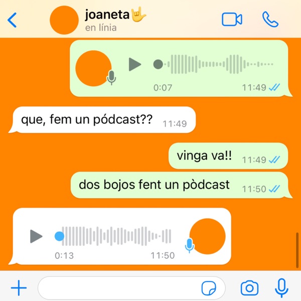 Dos bojos fent un pòdcast