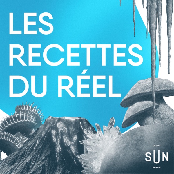 Les recettes du réel