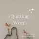 Day 224 - why wait to the new year to quit weed