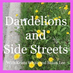 Dandelions and Side Streets - Episode #4 -  Interview with Darryl Tracy