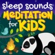 Sleep Sounds Meditation for Kids