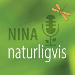 Naturavtalen er signert. Hva nå Norge?