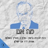 מה אם רבין לא היה נרצח - חלק א: תהליך השלום- ד