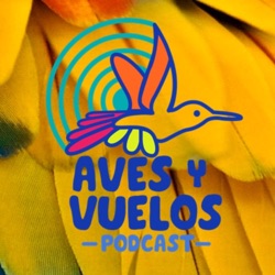 AVES Y VUELOS