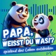 Papa, ich zeig dir die Sterne | PWDW010