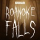 Roanoke Falls: A Horror History