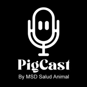 Pig Cast by MSD Salud Animal