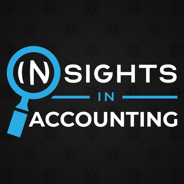 Insights in Accounting Image