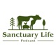 Sanctuary Life Podcast