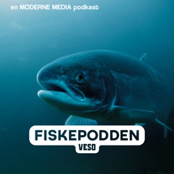 Nå kommer torsken (en episode om torskeoppdrett)!