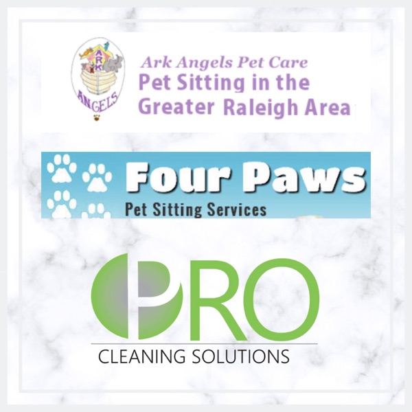 Pro Cleaning Solutions - Four Paws Petsitting - Ark Angles Pet Care photo