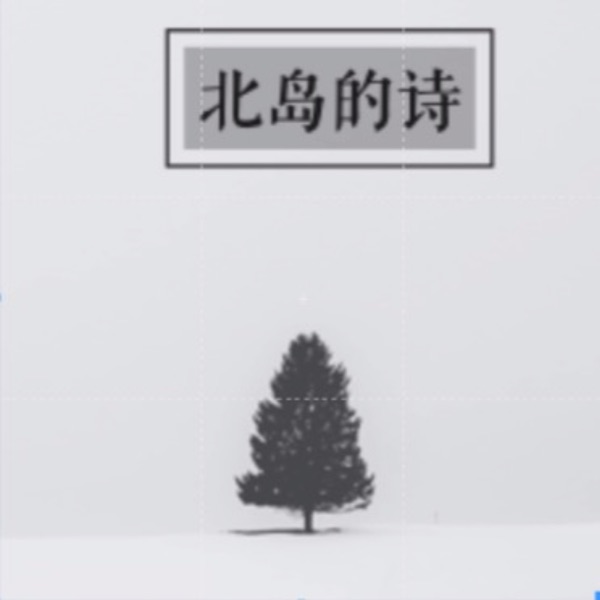 为您读诗/北岛的诗