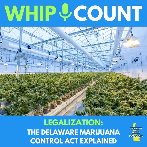 Legalization: The Delaware Marijuana Control Act Explained photo