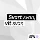 Svart svan, vit svan