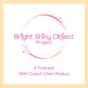 The Bright Shiny Object Project