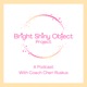 The Bright Shiny Object Project