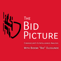 The Bid Picture - Cybersecurity & Intelligence Analysis podcast