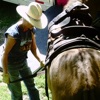 MULE TALK! With Cindy K Roberts artwork