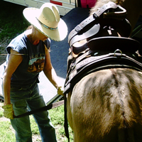 MULE TALK! With Cindy K Roberts podcast