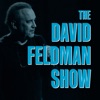 David Feldman Show artwork