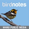 Bird Notes artwork