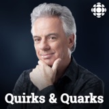 Quirks & Quarks holiday book show. Chance and human evolution, surviving a black hole, new insights about Neanderthals and more... podcast episode