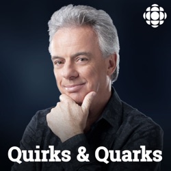 Quirks and Quarks