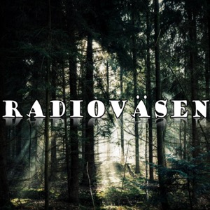 Radioväsen