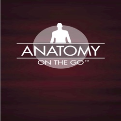 Episode 71: Special Regions in the Upper Limb