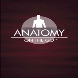 Episode 56 - Upper Limb Bones...Reboot and Retool