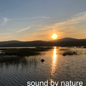 Sound By Nature - Sound By Nature