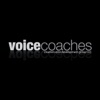 Voice Over Training | Complete Training, Demo Development & Support artwork