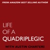 Life Of A Quadriplegic artwork