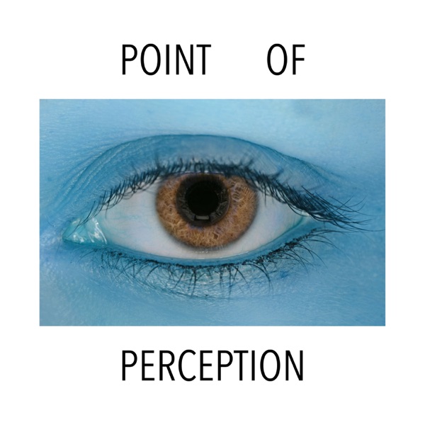 Point of Perception