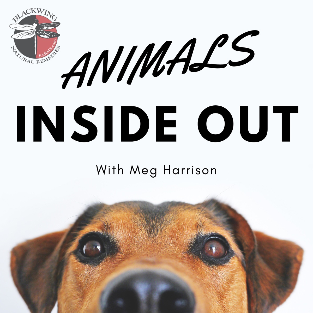 Animals inside