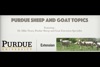 Purdue Sheep and Goat Topics artwork